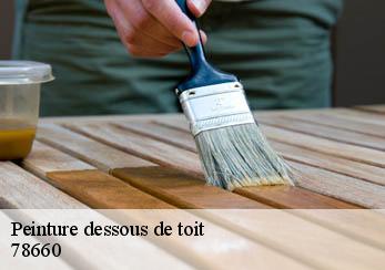 Peinture dessous de toit  78660