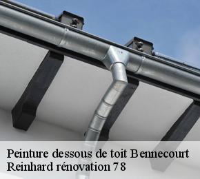 Peinture dessous de toit  bennecourt-78270 Reinhard rénovation 78