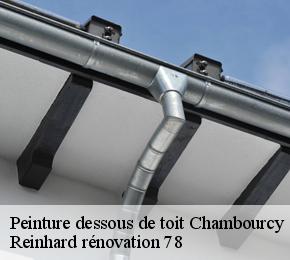 Peinture dessous de toit  chambourcy-78240 Reinhard rénovation 78