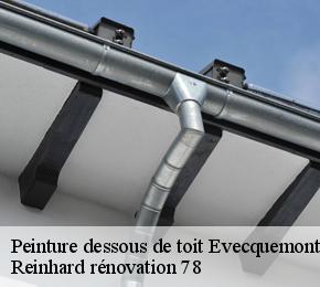Peinture dessous de toit  evecquemont-78740 Reinhard rénovation 78