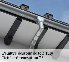 Peinture dessous de toit  tilly-78790 Reinhard rénovation 78