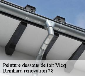 Peinture dessous de toit  vicq-78490 Reinhard rénovation 78