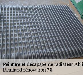 Peinture et décapage de radiateur  ablis-78660 Reinhard rénovation 78