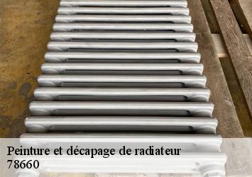 Peinture et décapage de radiateur  78660