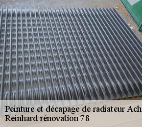 Peinture et décapage de radiateur  acheres-78260 Reinhard rénovation 78