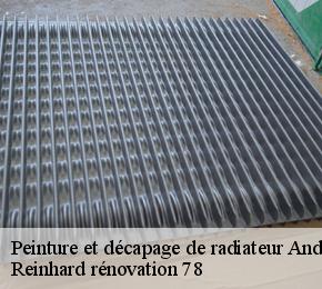 Peinture et décapage de radiateur  andelu-78770 Reinhard rénovation 78