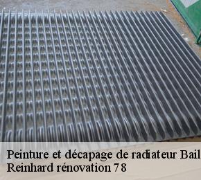 Peinture et décapage de radiateur  bailly-78870 Reinhard rénovation 78