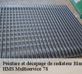 Peinture et décapage de radiateur blaru-78270 Artisan Franck