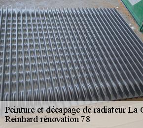 Peinture et décapage de radiateur  la-celle-les-bordes-78720 Reinhard rénovation 78