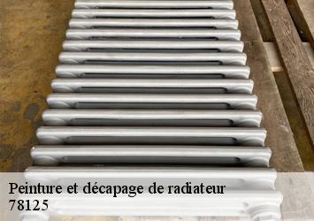 Peinture et décapage de radiateur 78125