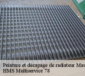 Peinture et décapage de radiateur  maule-78580 Reinhard rénovation 78