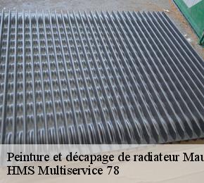 Peinture et décapage de radiateur maurepas-78310 Reinhard rénovation 78