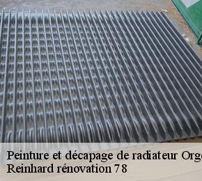 Peinture et décapage de radiateur  orgerus-78910 Reinhard rénovation 78