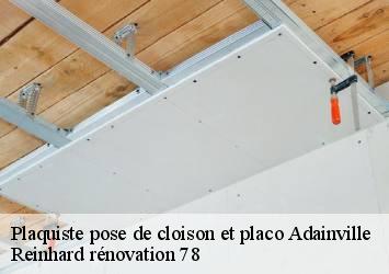 Plaquiste pose de cloison et placo  adainville-78113 Reinhard rénovation 78