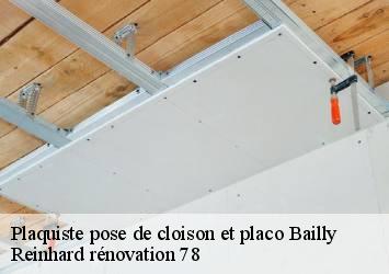 Plaquiste pose de cloison et placo  bailly-78870 Reinhard rénovation 78