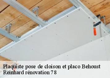Plaquiste pose de cloison et placo  behoust-78910 Reinhard rénovation 78