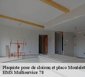 Plaquiste pose de cloison et placo montalet-le-bois-78440 HMS Multiservice 78