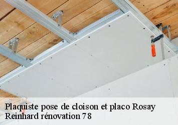 Plaquiste pose de cloison et placo  rosay-78790 Reinhard rénovation 78
