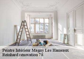 Peintre Intérieur  magny-les-hameaux-78114 Reinhard rénovation 78