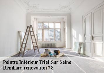 Peintre Intérieur  triel-sur-seine-78510 Reinhard rénovation 78