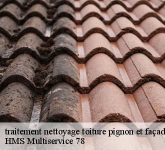traitement nettoyage toiture pignon et façade 78 Yvelines HMS Multiservice 78