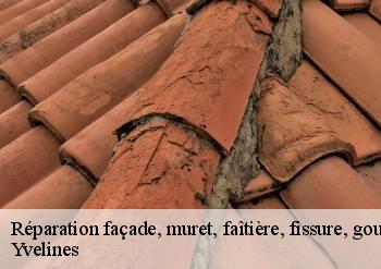 Réparation façade, muret, faîtière, fissure, gouttière Yvelines 
