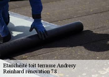 Etanchéité toit terrasse  andresy-78570 Reinhard rénovation 78
