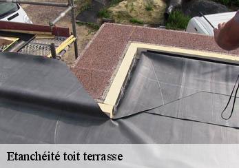 Etanchéité toit terrasse