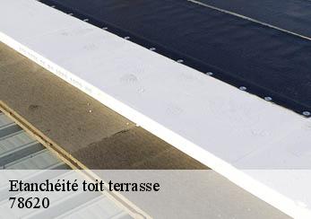 Etanchéité toit terrasse  78620