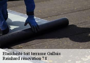 Etanchéité toit terrasse  galluis-78490 Reinhard rénovation 78