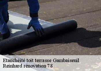 Etanchéité toit terrasse  gambaiseuil-78490 Reinhard rénovation 78