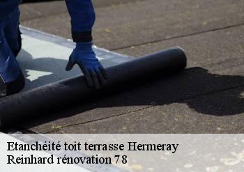 Etanchéité toit terrasse  hermeray-78125 Reinhard rénovation 78