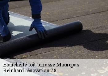 Etanchéité toit terrasse  maurepas-78310 Reinhard rénovation 78