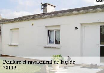 Peinture et ravalement de façade 78113