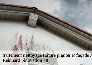 traitement nettoyage toiture pignon et façade  andelu-78770 Reinhard rénovation 78