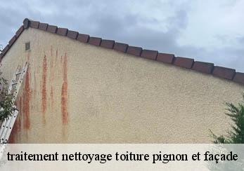 traitement nettoyage toiture pignon et façade