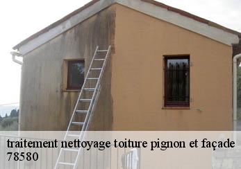 traitement nettoyage toiture pignon et façade  78580