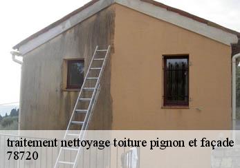 traitement nettoyage toiture pignon et façade 78720