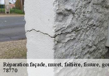 Réparation façade, muret, faîtière, fissure, gouttière  78770