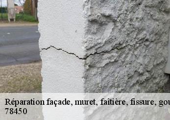 Réparation façade, muret, faîtière, fissure, gouttière  78450