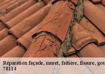 Réparation façade, muret, faîtière, fissure, gouttière  78114