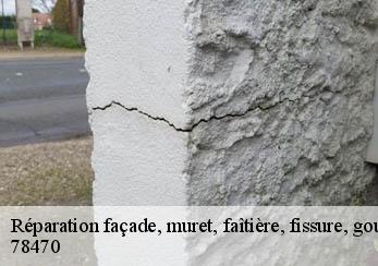 Réparation façade, muret, faîtière, fissure, gouttière 78470