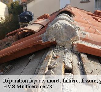 Réparation façade, muret, faîtière, fissure, gouttière moisson-78840 HMS Multiservice 78
