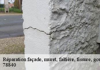 Réparation façade, muret, faîtière, fissure, gouttière 78840