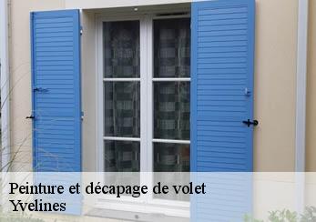 Peinture et décapage de volet Yvelines