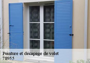 Peinture et décapage de volet 78955