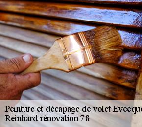 Peinture et décapage de volet  evecquemont-78740 Reinhard rénovation 78
