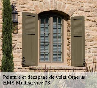 Peinture et décapage de volet orgerus-78910 Reinhard rénovation 78