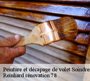 Peinture et décapage de volet  soindres-78200 Reinhard rénovation 78