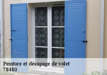 Peinture et décapage de volet 78480